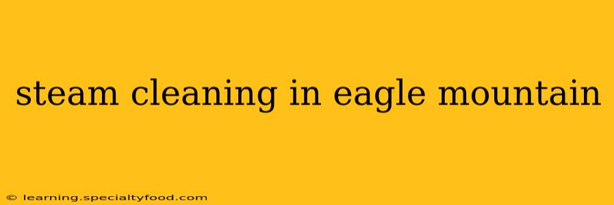 steam cleaning in eagle mountain