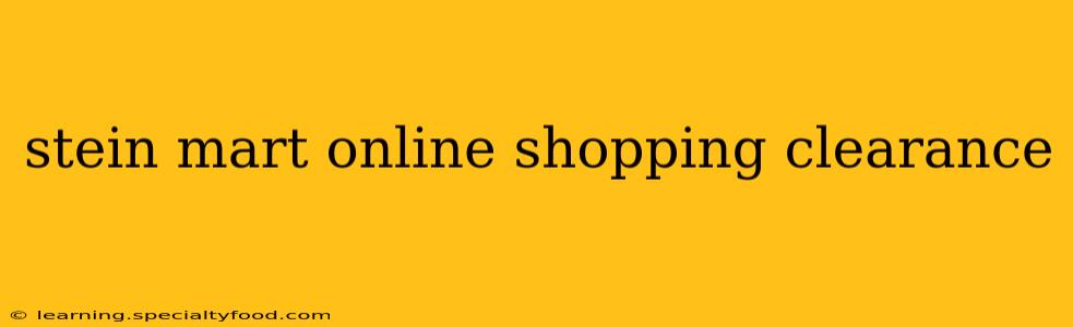 stein mart online shopping clearance