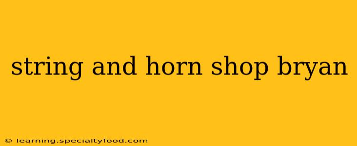 string and horn shop bryan