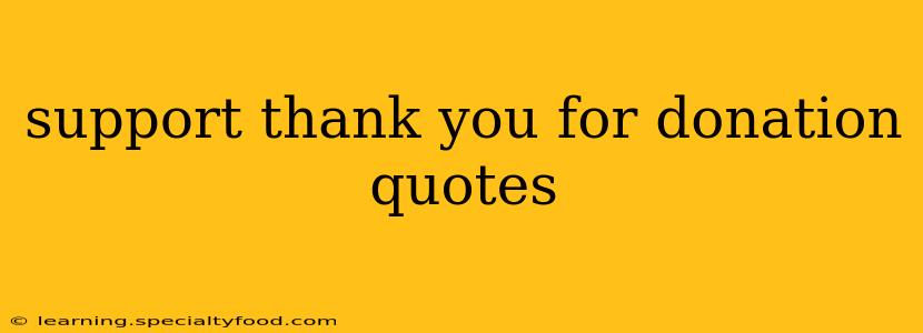 support thank you for donation quotes