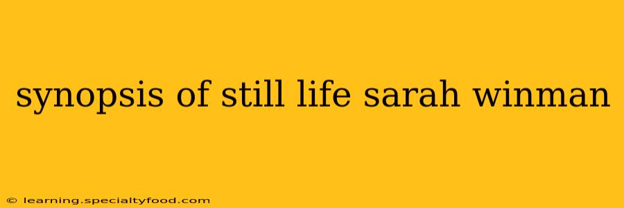 synopsis of still life sarah winman