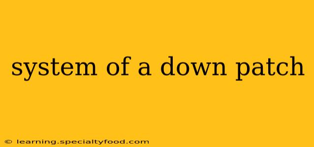 system of a down patch