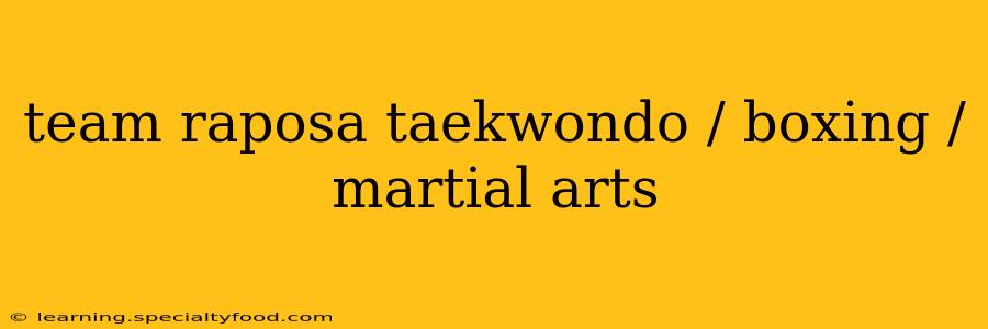 team raposa taekwondo / boxing / martial arts