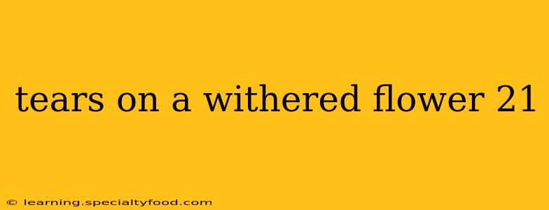 tears on a withered flower 21