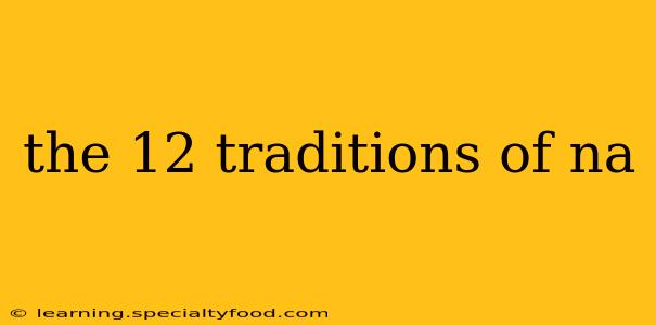 the 12 traditions of na