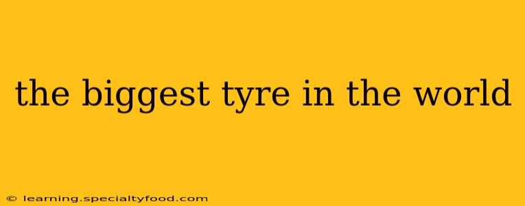 the biggest tyre in the world