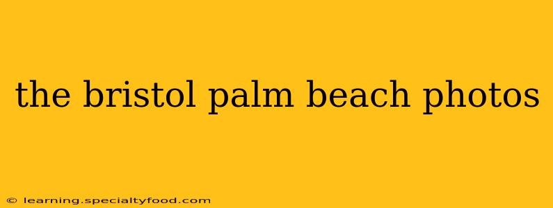 the bristol palm beach photos