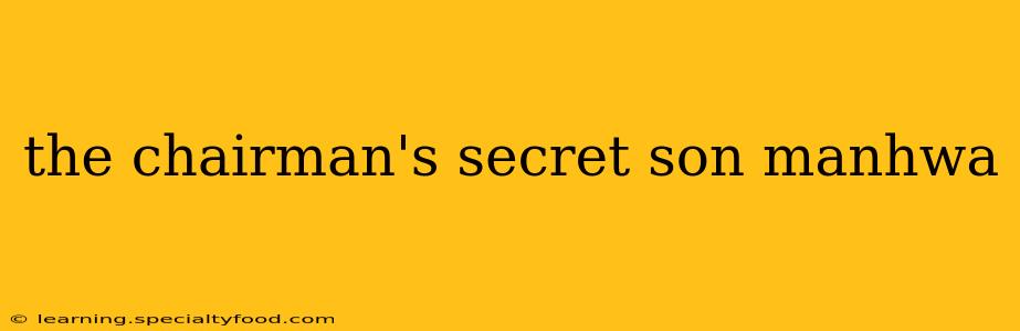 the chairman's secret son manhwa
