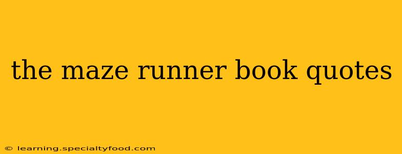 the maze runner book quotes