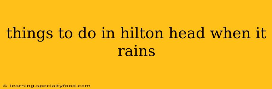 things to do in hilton head when it rains