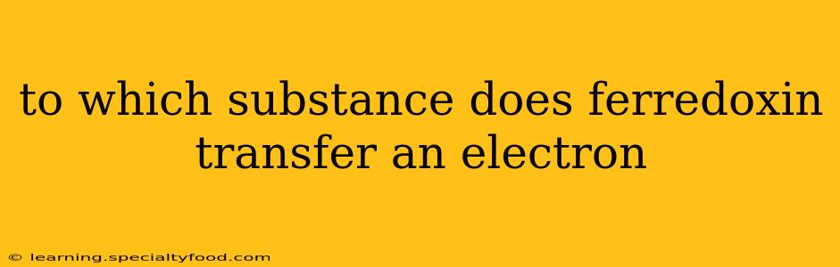 to which substance does ferredoxin transfer an electron