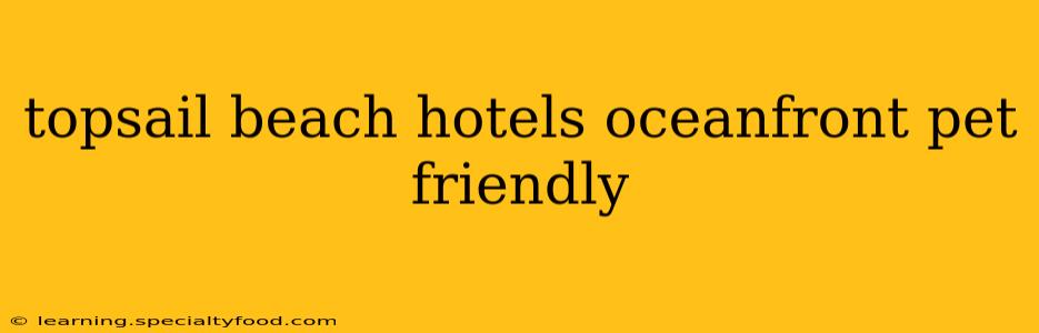 topsail beach hotels oceanfront pet friendly