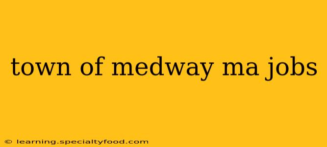 town of medway ma jobs