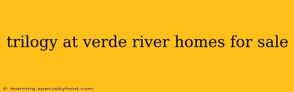 trilogy at verde river homes for sale