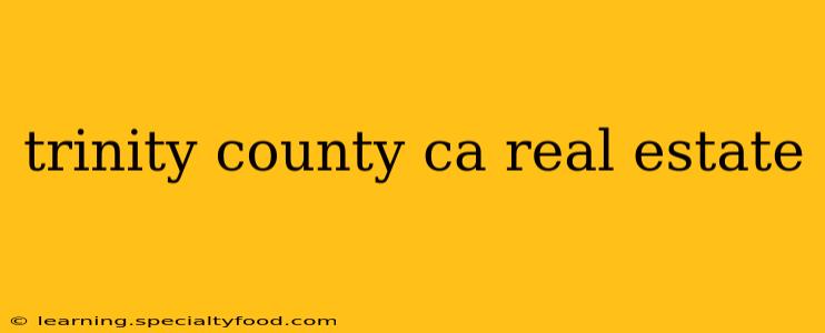 trinity county ca real estate