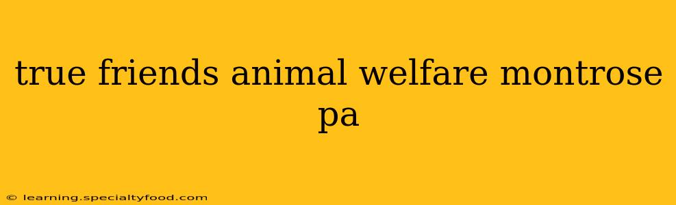 true friends animal welfare montrose pa