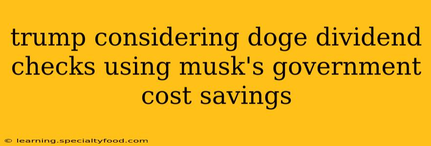trump considering doge dividend checks using musk's government cost savings