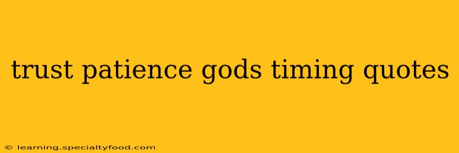 trust patience gods timing quotes