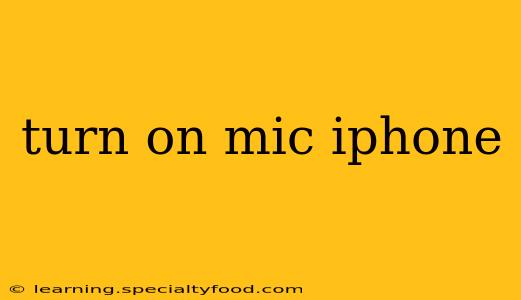 turn on mic iphone