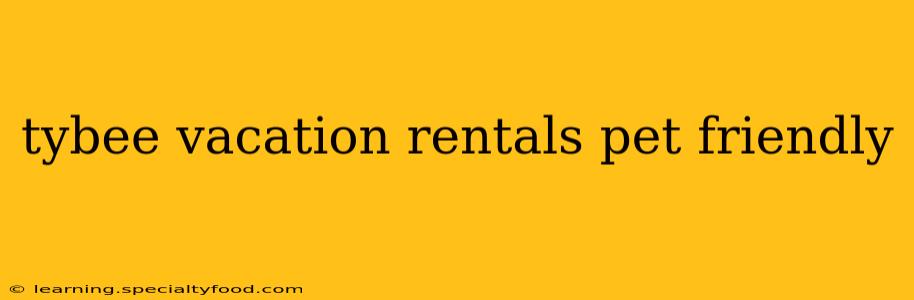 tybee vacation rentals pet friendly