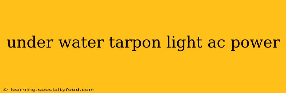 under water tarpon light ac power