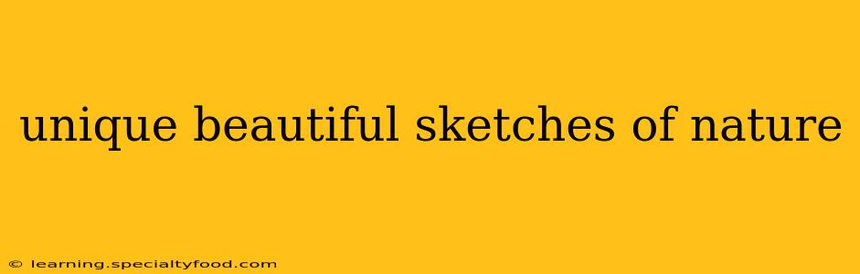 unique beautiful sketches of nature