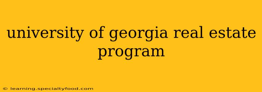 university of georgia real estate program