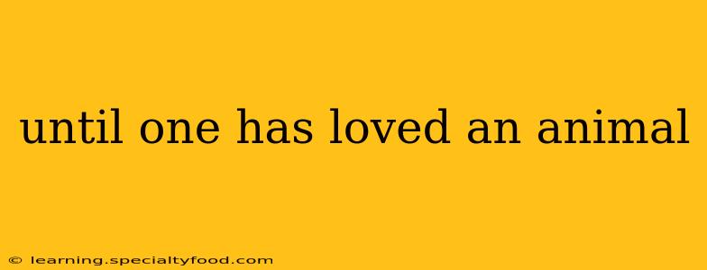 until one has loved an animal