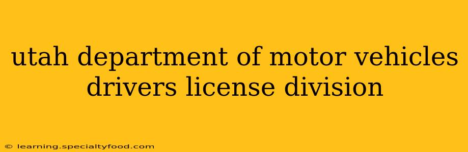 utah department of motor vehicles drivers license division