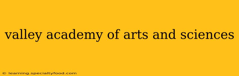 valley academy of arts and sciences