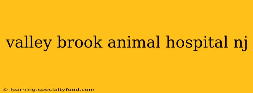 valley brook animal hospital nj