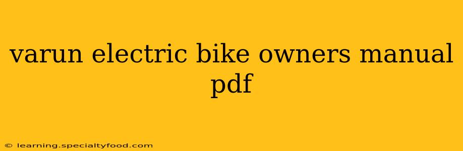 varun electric bike owners manual pdf