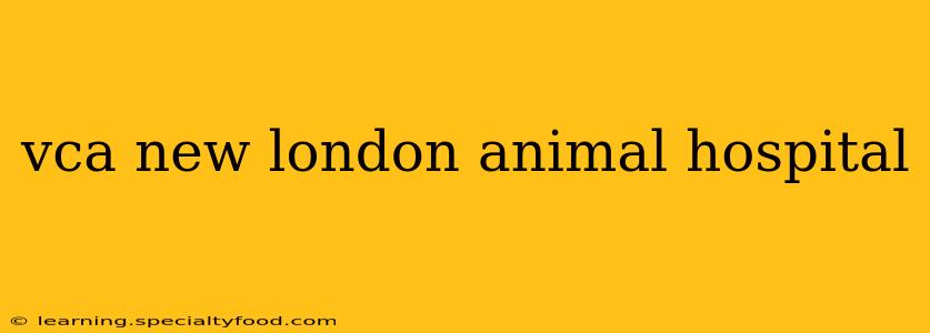 vca new london animal hospital