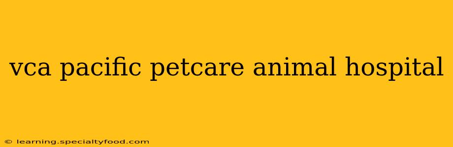 vca pacific petcare animal hospital