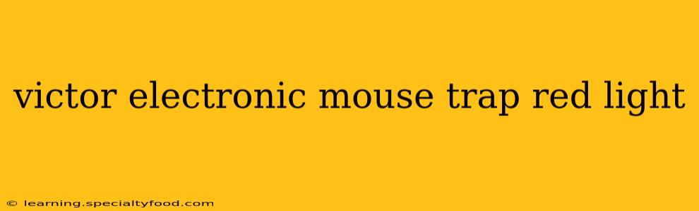 victor electronic mouse trap red light