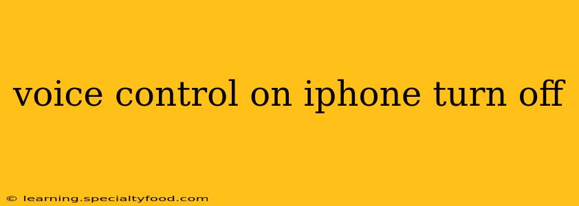 voice control on iphone turn off
