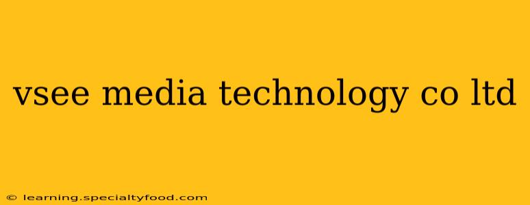 vsee media technology co ltd