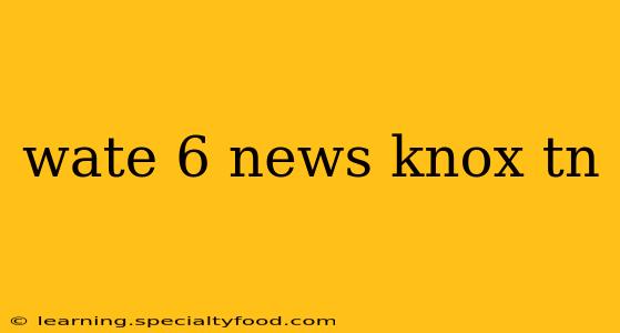 wate 6 news knox tn
