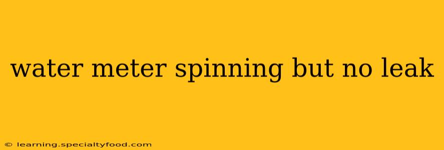 water meter spinning but no leak
