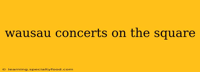 wausau concerts on the square