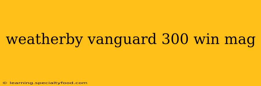 weatherby vanguard 300 win mag
