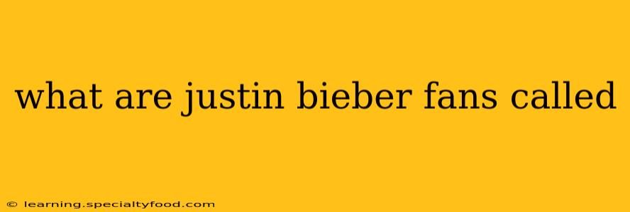 what are justin bieber fans called