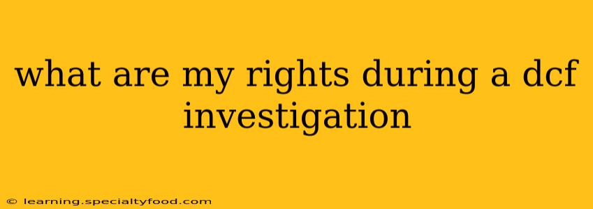 what are my rights during a dcf investigation