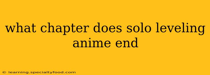 what chapter does solo leveling anime end