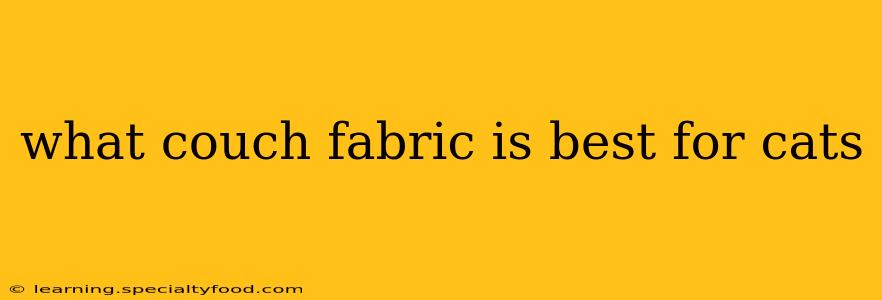 what couch fabric is best for cats