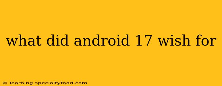 what did android 17 wish for