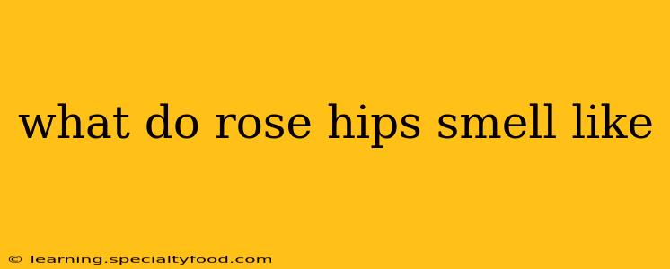 what do rose hips smell like