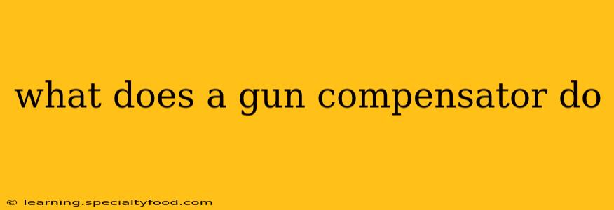what does a gun compensator do