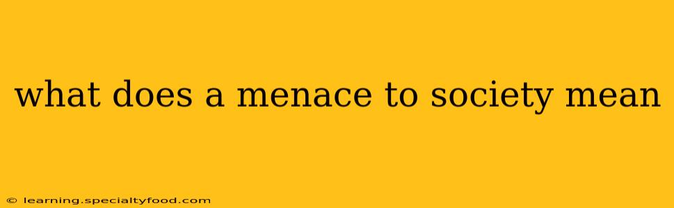 what does a menace to society mean