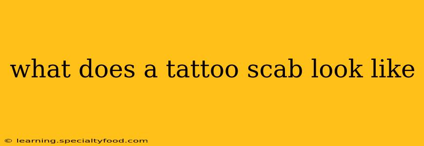 what does a tattoo scab look like